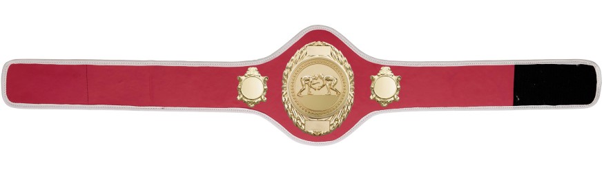GRAPPLING CHAMPIONSHIP BELT-PRO286/G/GRAPPG-10+ COLOURS